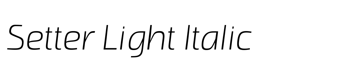 Setter Light Italic